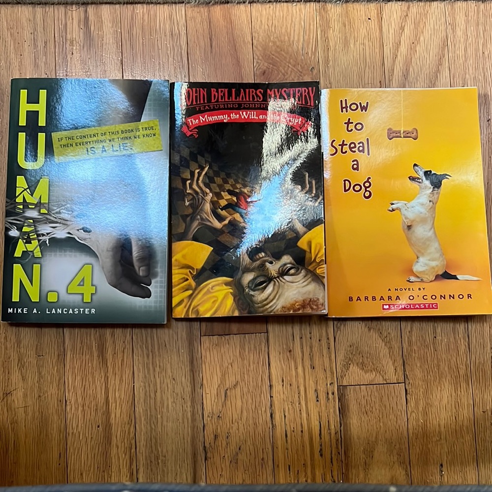 Scholastic Books Grades 4/5